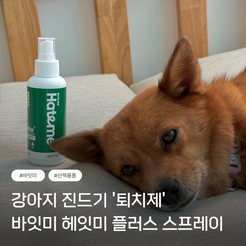 강아지진드기퇴치제, 산책 스프레이 아무거나 뿌리면 안 되는 이유