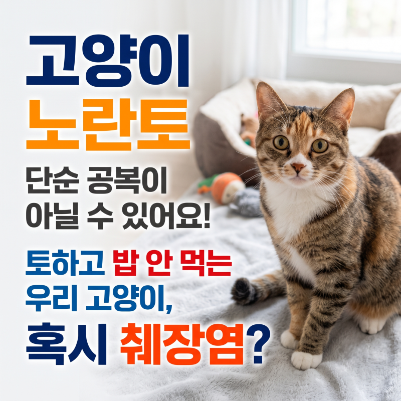 고양이 노란토 식욕부진 원인, 췌장염 의심 증상과 대처법