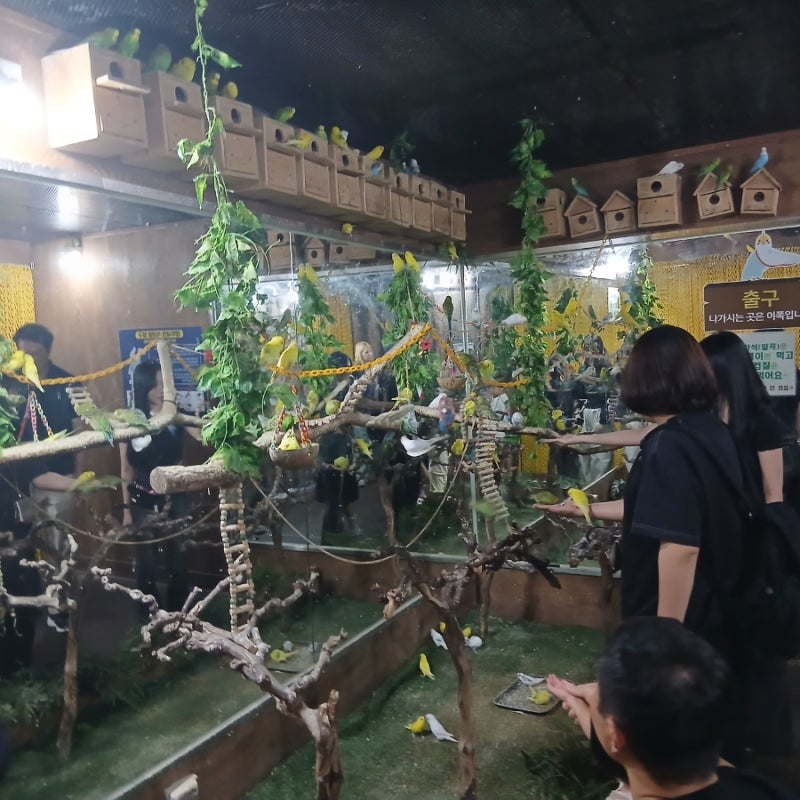 대구아쿠아리움 아이 생일기념 인어공연까지 보고 왔어요