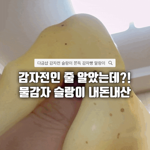 물감자슬랑이 진짜 감자전처럼 생겼을까? 다금샵 감자전 유튜브 슬랑이 내돈내산 후기