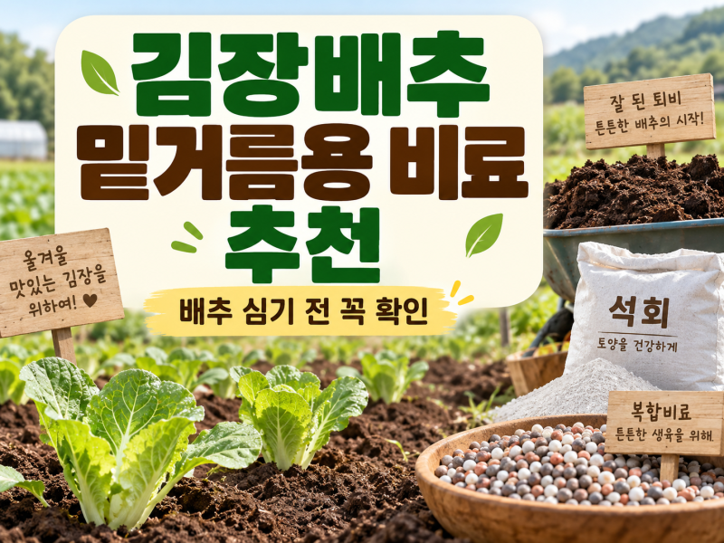 김장배추 밑거름용 비료 추천, 배추 심기 전에 무엇을 뿌려야 할까요?