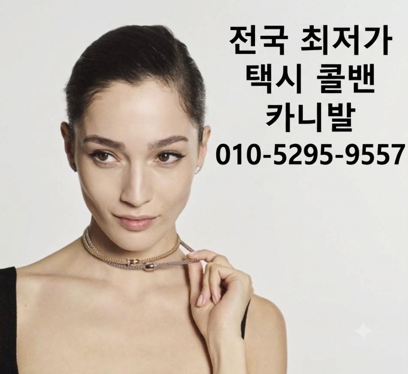 택시예약 싸고 쉽게 #포항인천공항택시 #포항서울콜밴 #경주공항택시 #경주콜밴 #영덕콜밴 #....