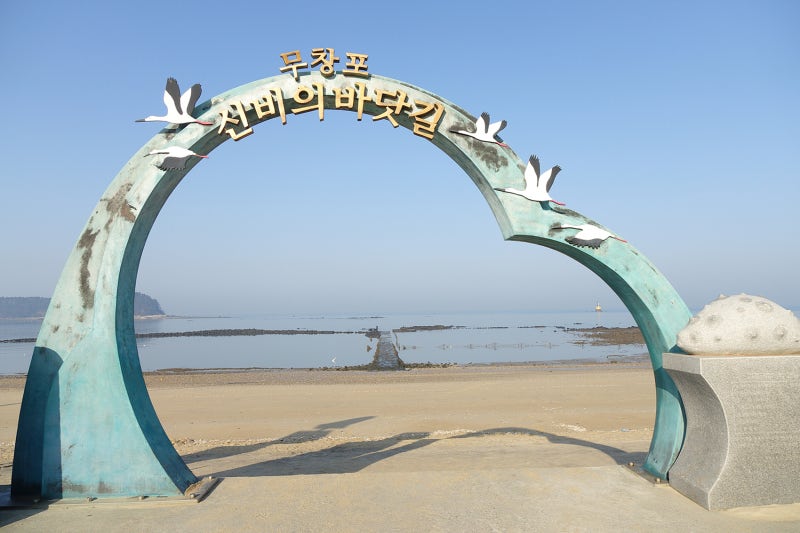 2026 무창포 신비의바닷길축제 대하잡고 횃불체험 하러 보령 서해안가볼만한곳