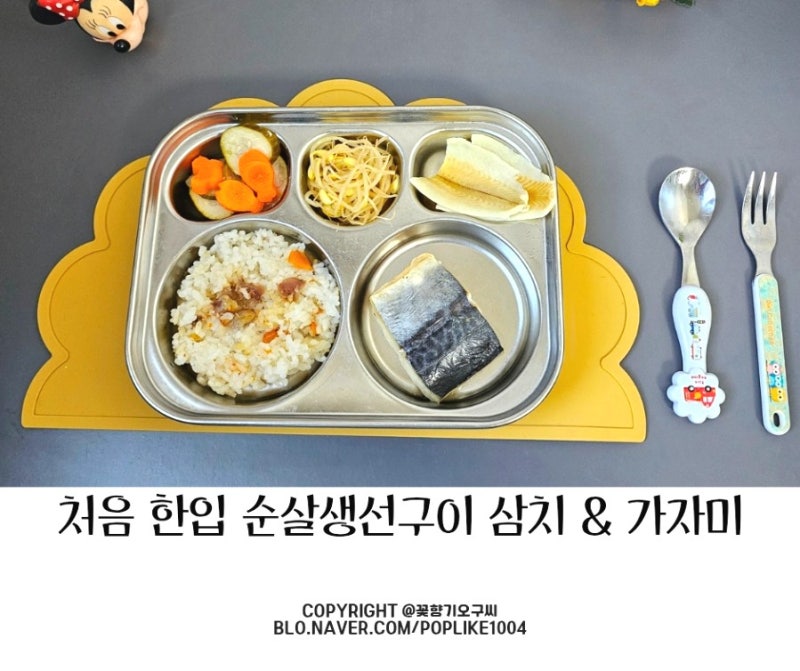 에어프라이어 삼치 냉동 가자미 처음 한입 순살생선구이 잘 먹는 어린이 반찬 추천