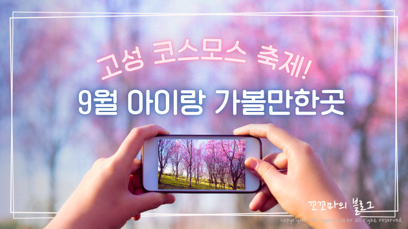 고성 기월안뜰 가을꽃축제 9월 아이랑 가볼만한곳 코스모스 명소