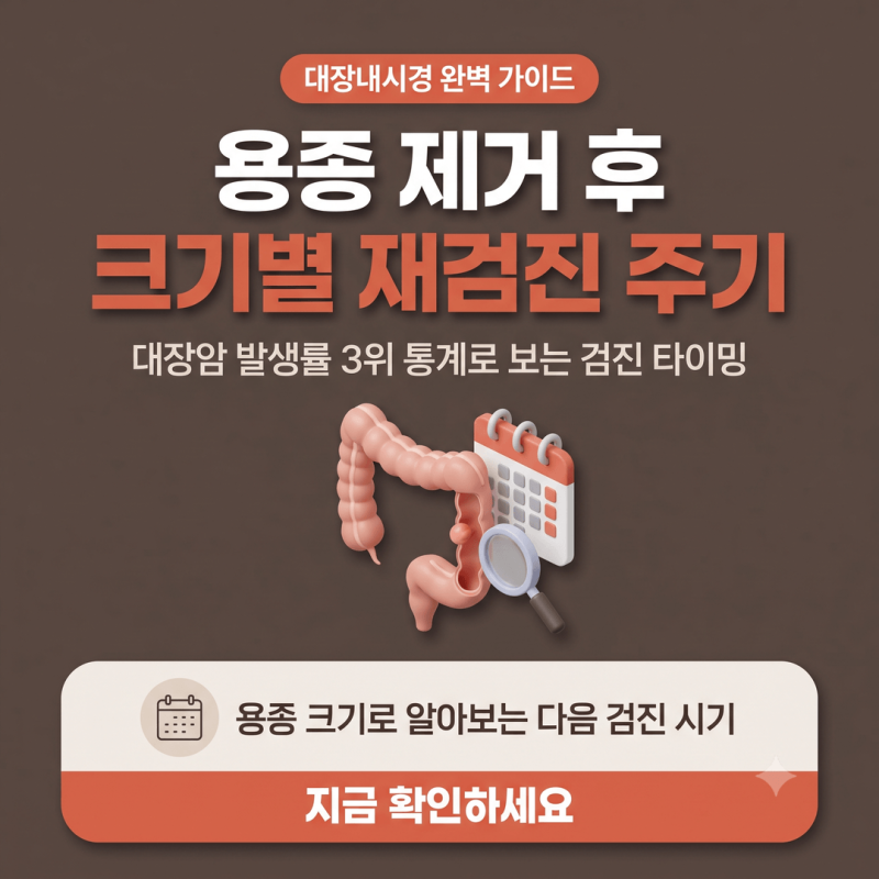 대장내시경 용종 제거 후 크기별 재검진 주기, 대장암 발생 3위 통계로 보는 검진 팁