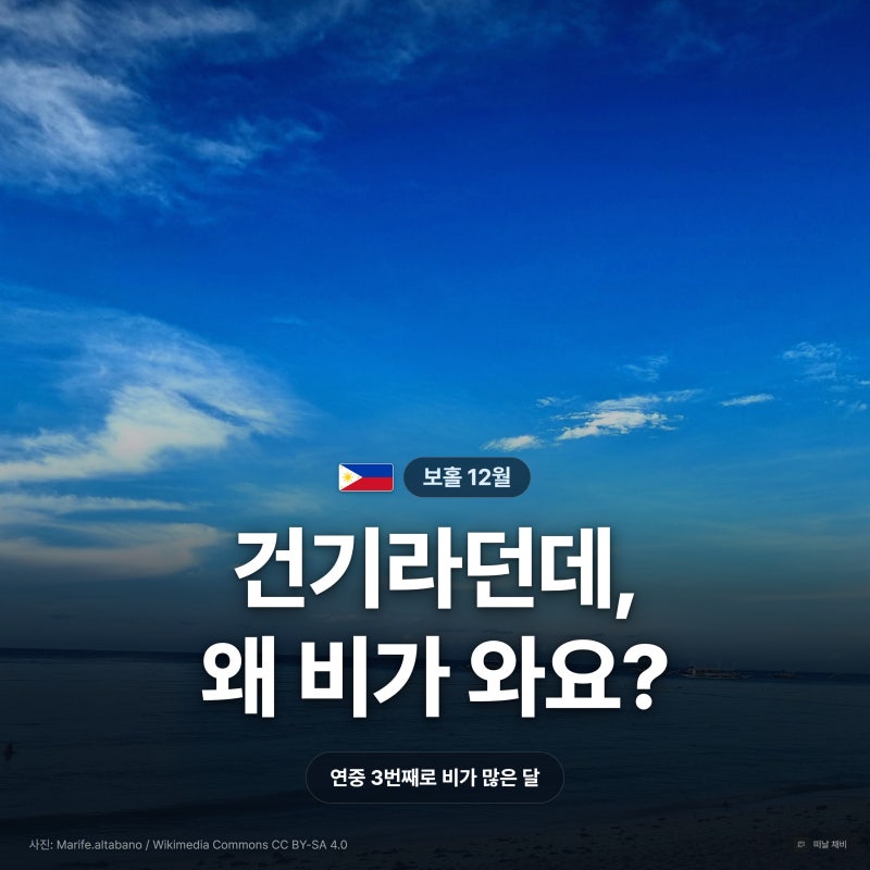 필리핀 보홀 12월 날씨 강수량 태풍 총정리, 아직 건기가 아니에요