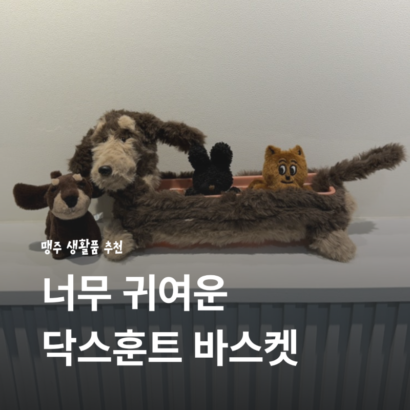닥스훈트 소품 무드이너프 모루바스켓우리 강아지 닮은 닥스훈트 바스켓