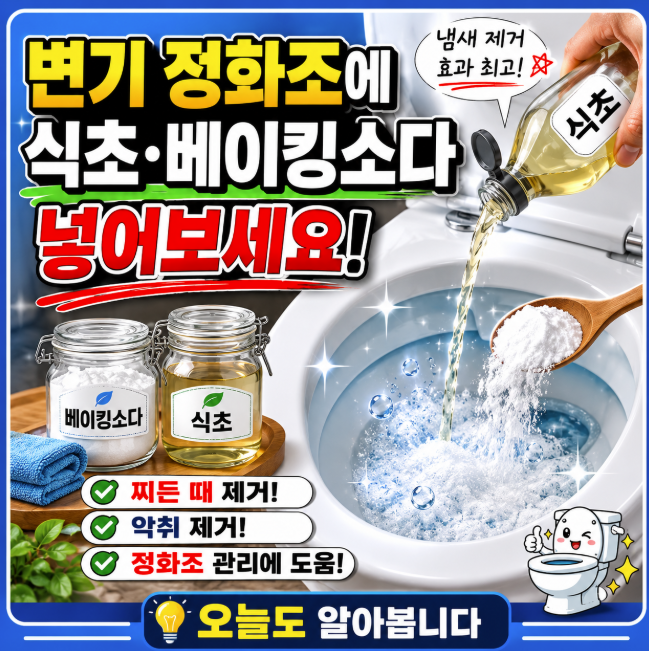 변기 정화조에 식초·베이킹소다를 넣어보세요? 냄새 제거 효과와 올바른 사용법