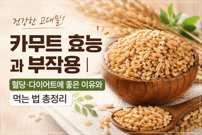 카무트 효능과 부작용 총정리｜혈당·다이어트에 좋은 이유와 먹는법