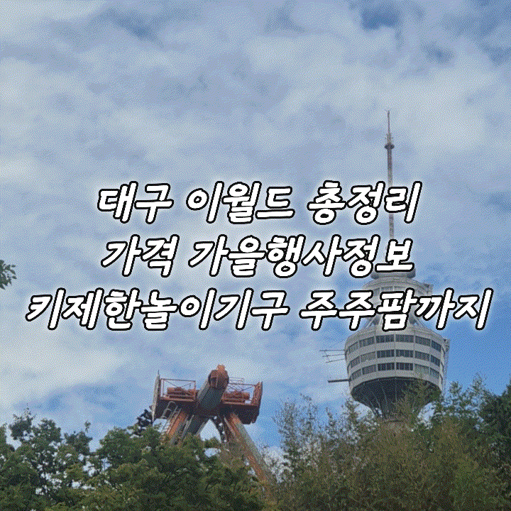 3년차 연간회원이 정리한 대구 이월드 자유이용권 할인 혜택부터 키 제한·가을 축제·주주팜....