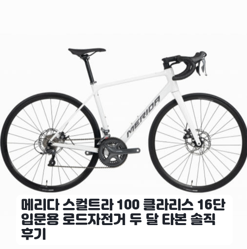 자전거 입문용으로 고른 메리다 스컬트라 100 클라리스 한 달 사용기