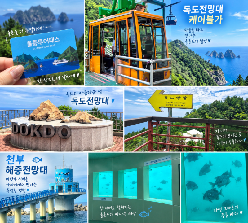 울릉도 투어패스, 독도전망대 케이블카, 천부 해중전망대
