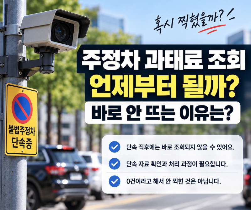주정차 과태료 조회 언제부터 될까? 바로 안 뜨는 이유는