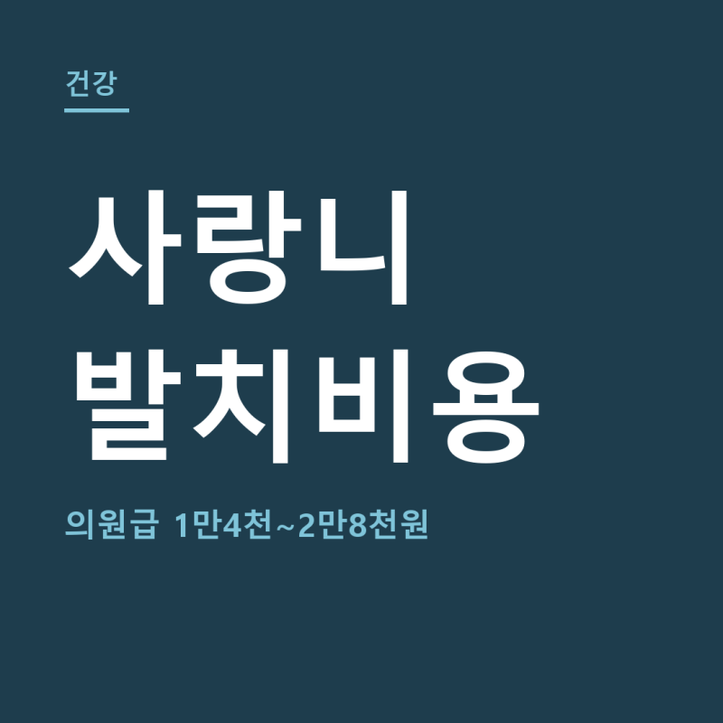 사랑니 발치비용 총정리 (+매복사랑니 발치비용, 실비 적용)