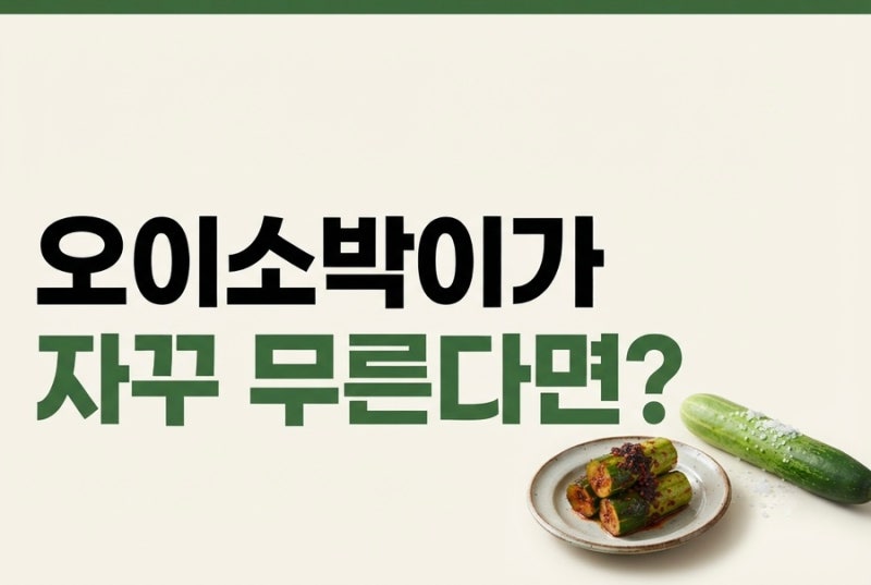편스토랑 남보라 오이소박이｜며칠 지나도 무르지 않는 비결은 따로 있었다