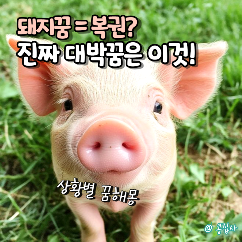 돼지꿈 꾸고 복권 사야 할까? 상황별 꿈해몽 제대로 알아보기