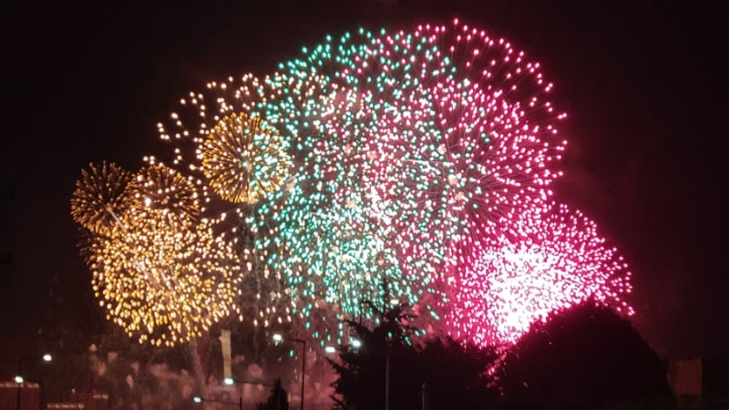 2026 서울세계불꽃축제 후기｜여의도 행사장 못 가도 볼 수 있었던 용산·원효대교 불꽃놀이