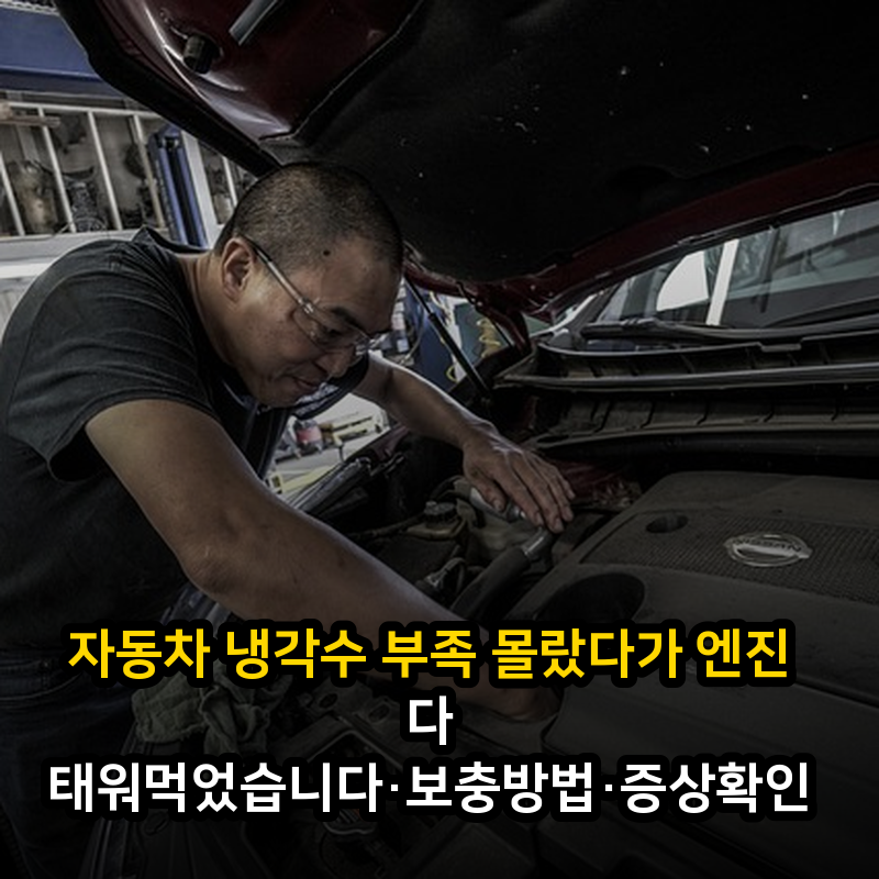 자동차 냉각수 부족 몰랐다가 엔진 다 태워먹었습니다·보충방법·증상확인