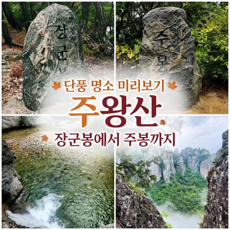 단풍 명소 미리보기: 주왕산 등산 코스 (장군봉~주봉) 완벽 탐방기