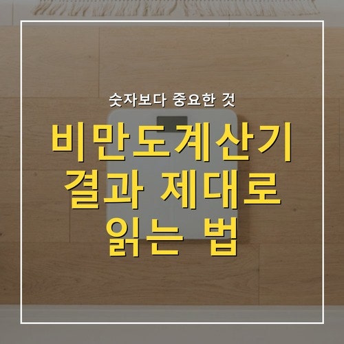비만도계산기 결과 BMI 단계별 해석과 지금 할 일