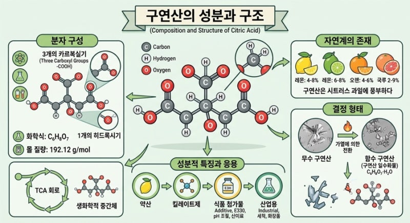 구연산과 레몬의 차이, 먹는 구연산은 무엇이 다를까?