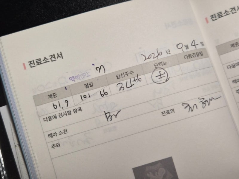 34주 6일 막달 검사(말기 검사) 후기 (혈액 검사 / 소변 검사 / 심전도 / 흉부 X-ray / 균 검사) & ....