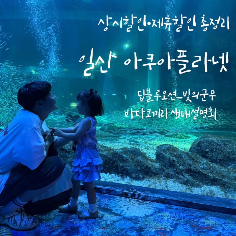 [일산/아쿠아리움] 아쿠아플라넷 일산, 31개월 아기와 임산부 방문 후기｜주차•입장 할인 꿀....