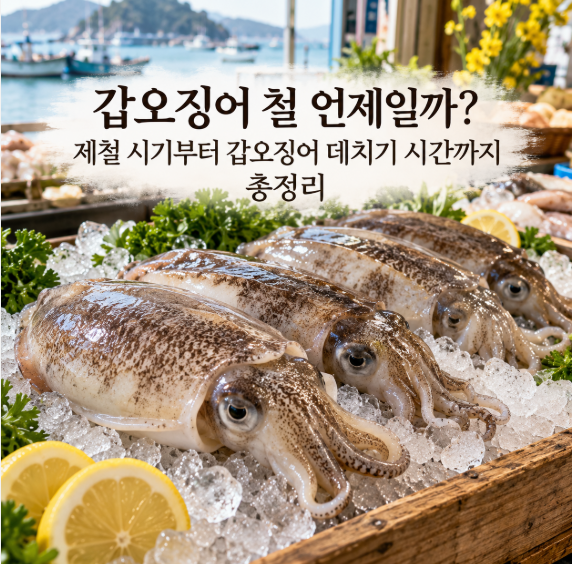 갑오징어 철 언제일까? 제철 시기부터 갑오징어 데치기 시간까지 총정리