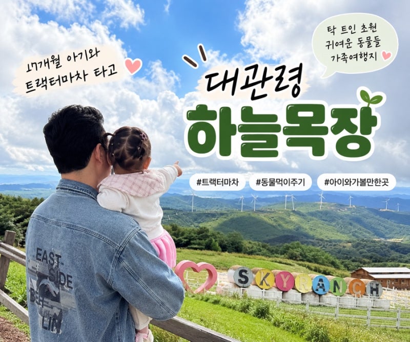 평창 대관령 하늘목장 | 17개월 아기와 트랙터마차 타고 초원과 동물 구경
