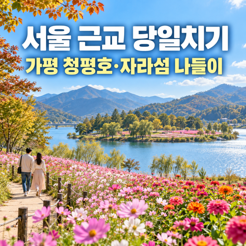 # 서울 근교 당일치기 나들이｜가평 청평호·자라섬·맛집·카페 코스