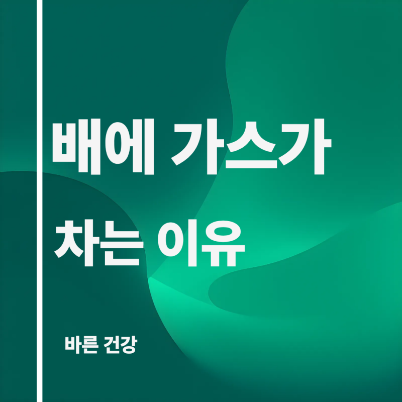 배에 가스 차는 이유 정리 배에 가스 빼는 법 약 추천