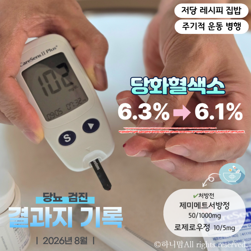 당뇨 검사 결과지 기록 당화혈색소 6.3%→6.1% 경동맥 초음파 판독지 해석
