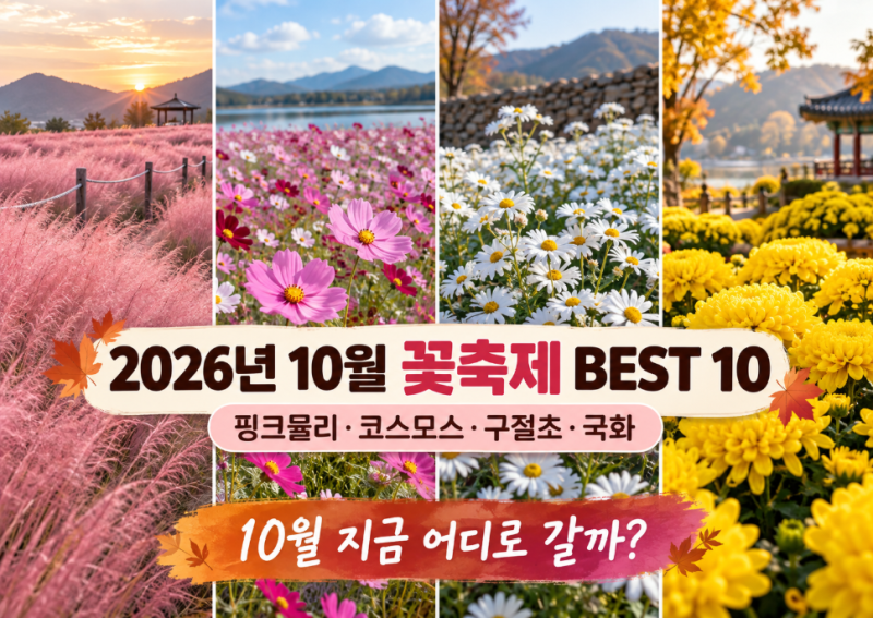 2026년 10월 꽃축제·꽃구경 명소 BEST 10｜핑크뮬리·코스모스·구절초·국화 어디로 갈까?