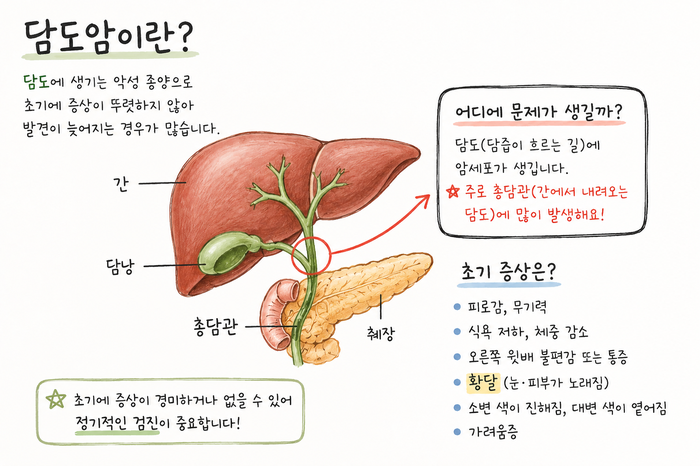 담도암암생존율 30퍼센트 이하라는 말이 사실일까