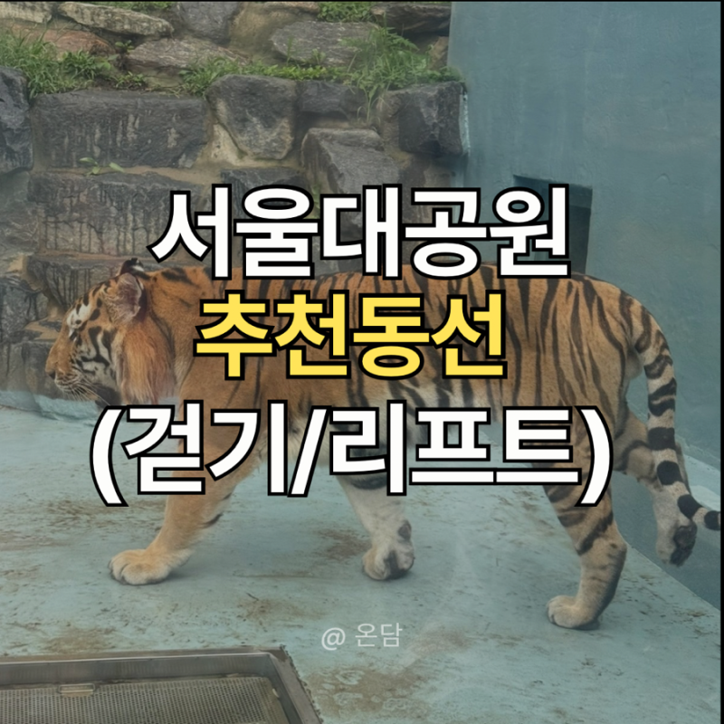 서울대공원 동물원 동선 / 서울대공원 동물원 지도 / 서울대공원 동물원 걷기와 리프트 비교(....
