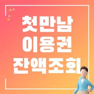 첫만남 이용권 잔액조회 KB 국민 신한 BC 롯데 농협 카드사별 확인방법 직접 해본 후기, 2026 최....