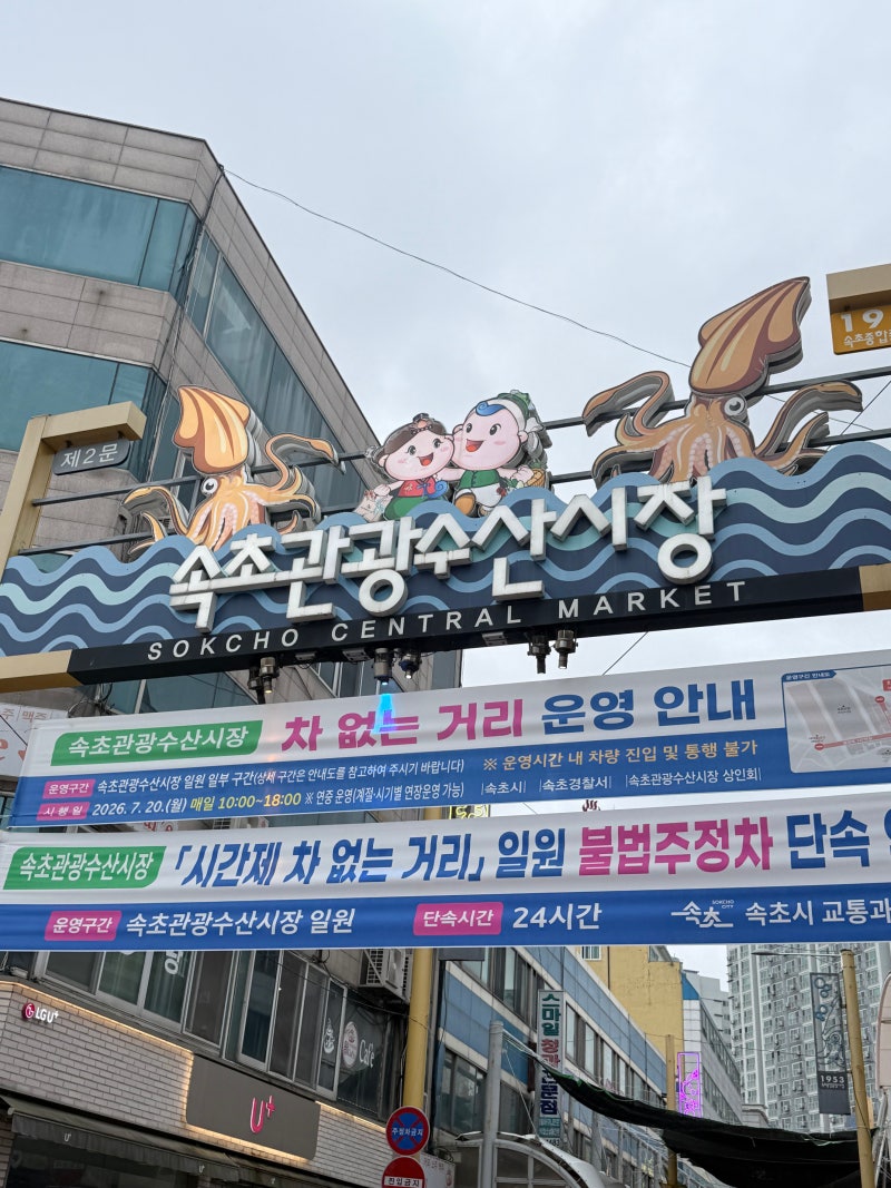 Essential Sokcho Travel Course: A Complete Guide to Foods at Sokcho Tourist & Fishery Market