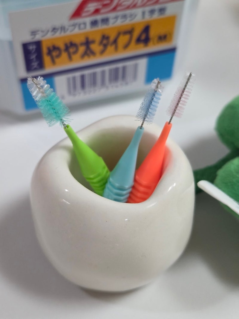 치간칫솔 정리 고민 끝 몇년째 물때 없이 쓰는 다이소 도기 칫솔꽂이