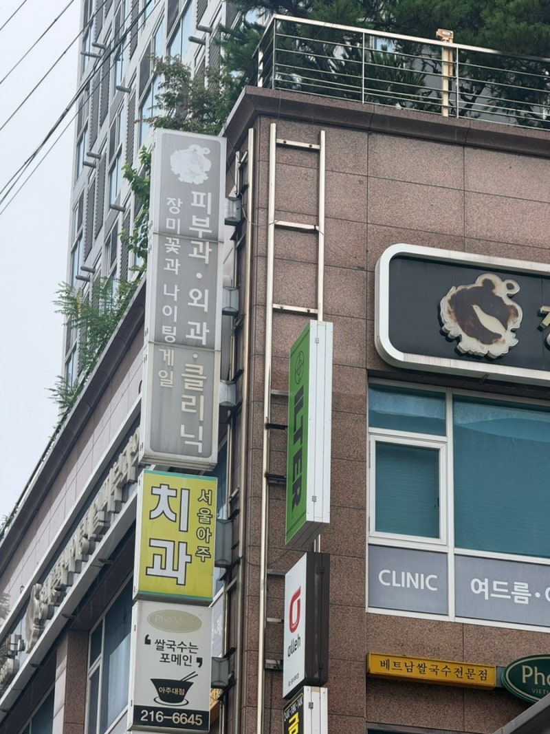 장미꽃과 나이팅게일 외과 - 지방종 제거 수술 후기(통증, 관리, 비용)