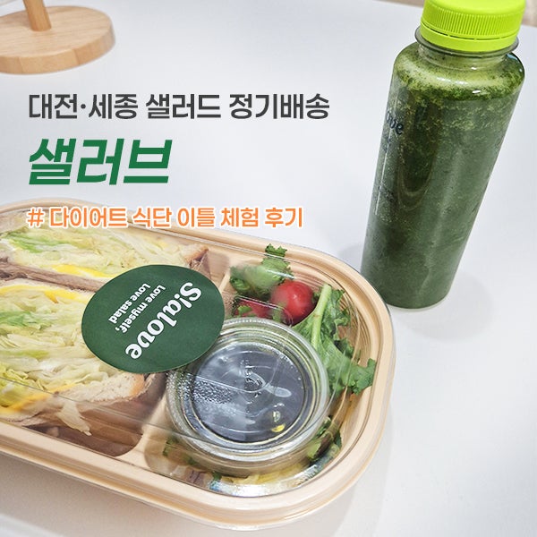 세종 샐러드 정기배송 '샐러브'에서 1만명이 선택한 다이어트 식단 이틀 체험 후기