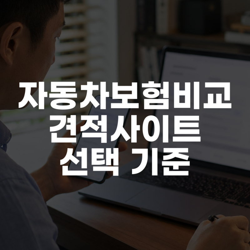 자동차보험비교견적사이트 선택 기준