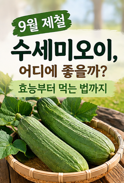 9월 제철 수세미오이, 어디에 좋을까? 효능부터 먹는 법까지