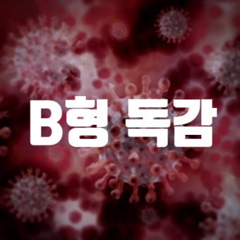 B형독감 증상부터 치료, 회복까지 한눈에 정리