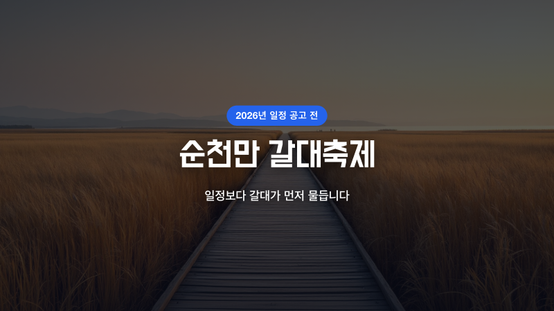 순천만 갈대축제, 일정 기다리다 갈대 절정을 놓칩니다