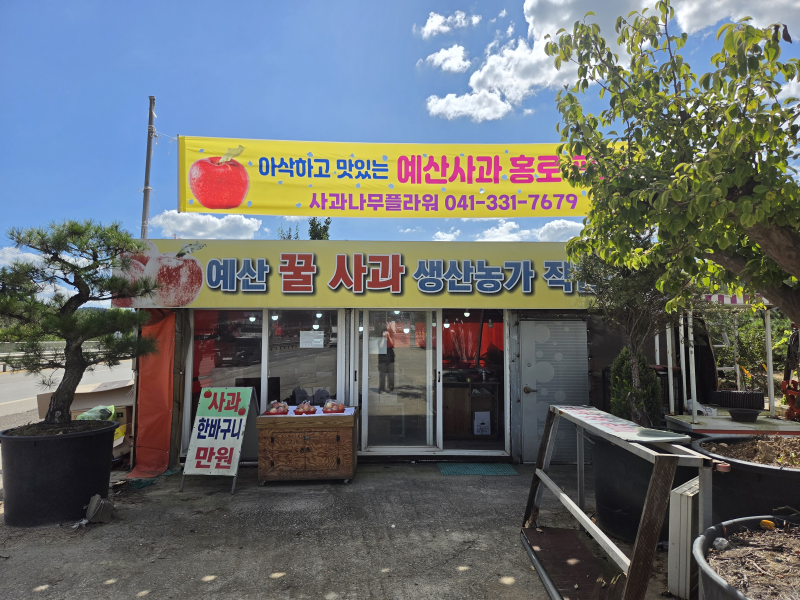 [추석 사과 선물세트] 산지 직송 달콤한 홍로 예산 사과 드디어 판매 개시