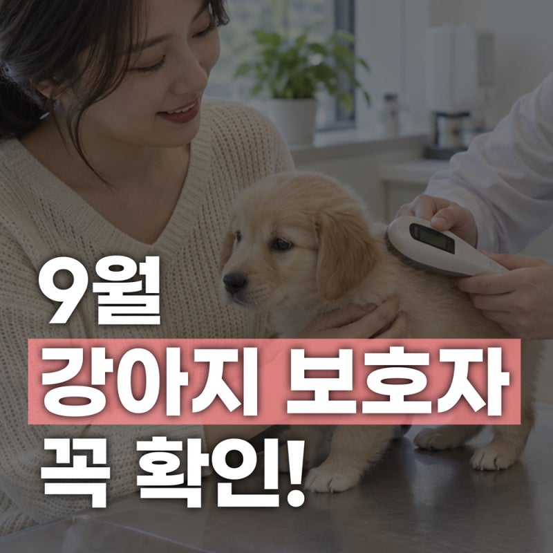 강아지 동물등록 아직 안 했다면? 9월 자진신고·변경신고 확인하세요