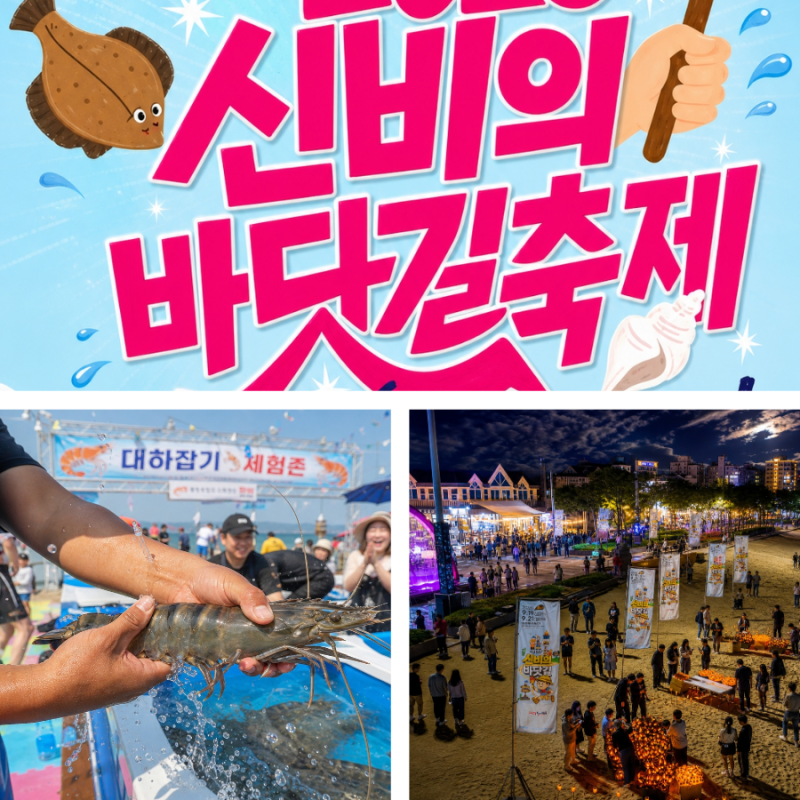 2026 보령 무창포 신비의바닷길 축제 가볼만한곳 여행코스까지 총정리
