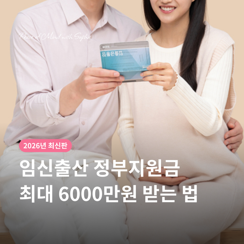 임신출산 정부지원금 2026 하반기, 최대 6000만원 받는 법