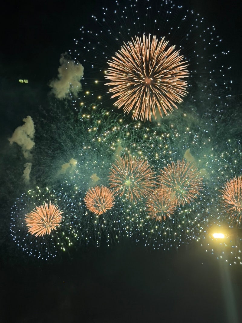 2026 여의도 불꽃축제 매년 서서 보는 한강공원 명당자리 후기 (공원 입장 통제 + 처음으로 조....